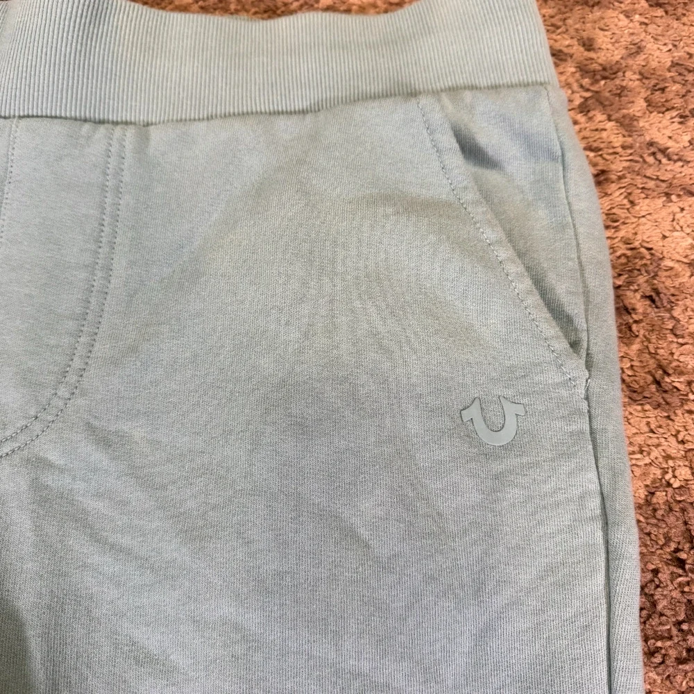 True Religion Men's L Green Blue Mint Color Block Jogger Pants